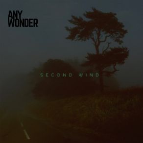 Download track Second Wind Any Wonder