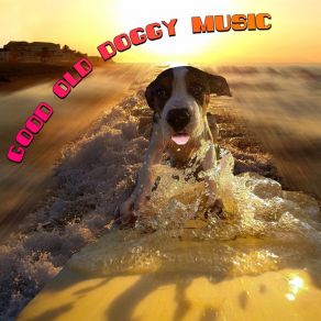 Download track Solo Sleeping Music For Dogs