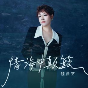 Download track 情海中颠簸 (Dj默涵版伴奏) 魏佳艺