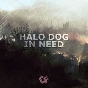 Download track Pirates (Original Mix) Halo Dog