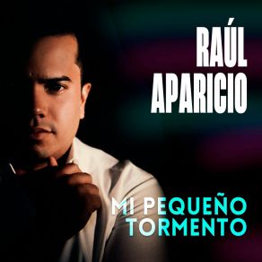 Download track Homenaje A Guararé Raul Aparicio