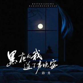 Download track 黑夜向我道了声晚安 (伴奏) Lu Yong