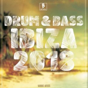 Download track Drum & Bass Ibiza 2018 (Continuous Mix 2) Ibiza
