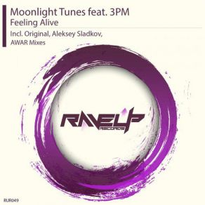 Download track Feeling Alive (Aleksey Sladkov Dub Mix) 3PM, Moonlight Tunes