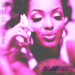 Download track Sweeter Budgie