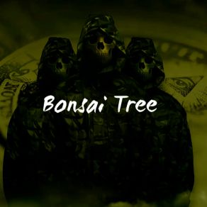 Download track Bonsai Brilliance The Art Of Miniature Trees Golden Rhythms