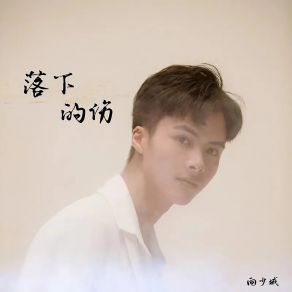 Download track 落下的伤 (DJ阿卓版) 向少城