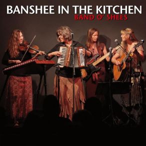 Download track Sailor Set Banshee In The Kitchen