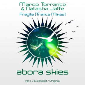 Download track Fragile (Intro Trance Mix) Natasha Jaffe