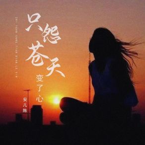 Download track 只怨苍天变了心 安儿陈