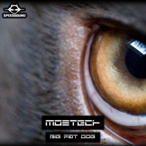 Download track Big Fat Dog (Original Mix) Mostech