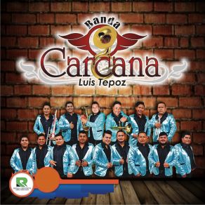 Download track El Corrido De El Potro Grupo Maravilla De Robin Revilla