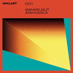 Download track Ayahuasca (Extended Mix) Wankelmut