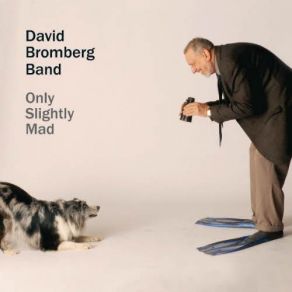 Download track Last Date David Bromberg