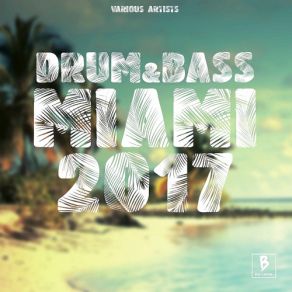 Download track Drum & Bass Miami 2017 (Continuous DJ Mix 2) Jonny Jeris