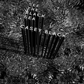 Download track Born A Baby Casey Black