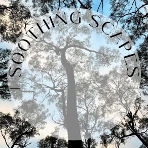 Download track Soothing Australian Birds Soothing Scapes