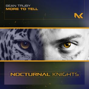 Download track More To Tell (Extended Mix) Sean Truby