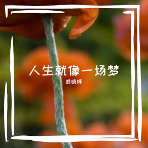 Download track 人生就像一场梦 戚晓婷