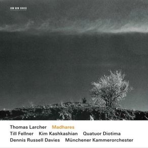 Download track 6. Still - Fliesend II Thomas Larcher