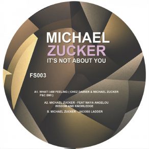 Download track Wisdom & Knowledge (Original Mix) Michael ZuckerMaya Angelo