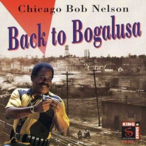 Download track Sugar Mama Chicago Bob Nelson