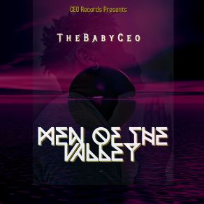 Download track Valley TheBabyCeo