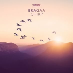 Download track Chirp (Radio Edit) Bragaa