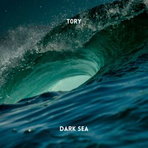 Download track Dark Sea T0RY