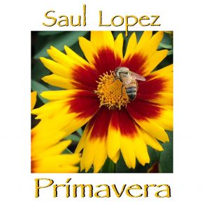 Download track Romanza De La Niña Y La Mariposa Saul López