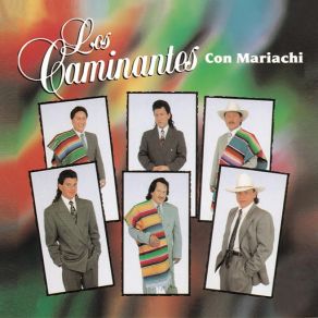 Download track Amor De Adolecente Los Caminantes