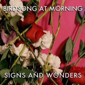 Download track Study In Blue Birdsong At Morning