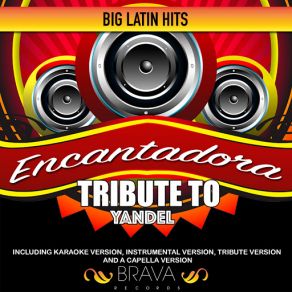 Download track Encantadora (Tribute To Yandel) [Acapella] Brava HitMakersAcapella