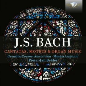 Download track Cantata Jesus Schläft, Was Soll Ich Hoffen, BWV 81 V. Aria Schweig, Schweig, Aufgetürmtes Meer! Musica Amphion, Pieter - Jan Belder, Gesualdo Consort Amsterdam