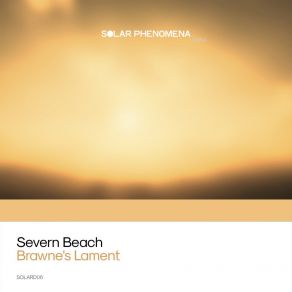 Download track Black Honey (Original Mix) Severn Beach