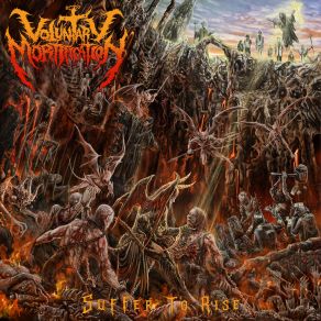 Download track Into Your Hands Voluntary Mortification