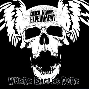 Download track When Shadows Fall On Your Grave Chuck Norris Experiment