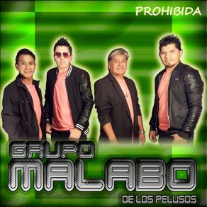 Download track Botellita De Ron Grupo Malabo De Los Pelusos