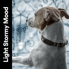 Download track Moony Rain, Pt. 24 Rain Storm