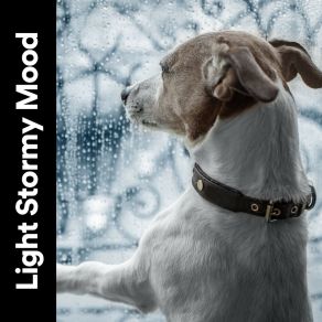 Download track Moony Rain, Pt. 27 Rain Storm