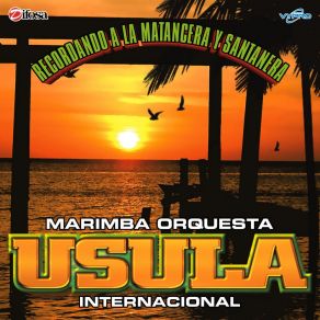 Download track Luces De New York Marimba Orquesta