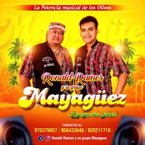 Download track Eres Tú (En Vivo) Su Grupo Mayagüez