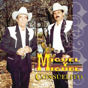 Download track La Sierrita De Los Parra Miguel Y Miguel