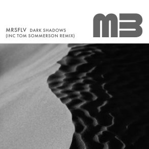 Download track Dark Shadows (Tom Sommerson Radio Edit) MRSFLVTom Sommerson