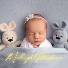 Download track Tranquil Sleep Baby Dreamland Music