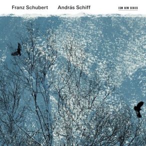 Download track 12 - Allegretto In C-Moll D 915 Franz Schubert