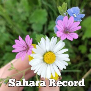 Download track Without Friends We Sahara Record