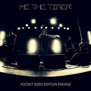 Download track Pocket Sized Edition Ending (Second System Remix) ME THE TIGER