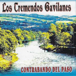 Download track Los Contrabandistas Los Tremendos Gavilanes