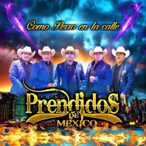 Download track El Toro Pinto Prendidos De Mexico